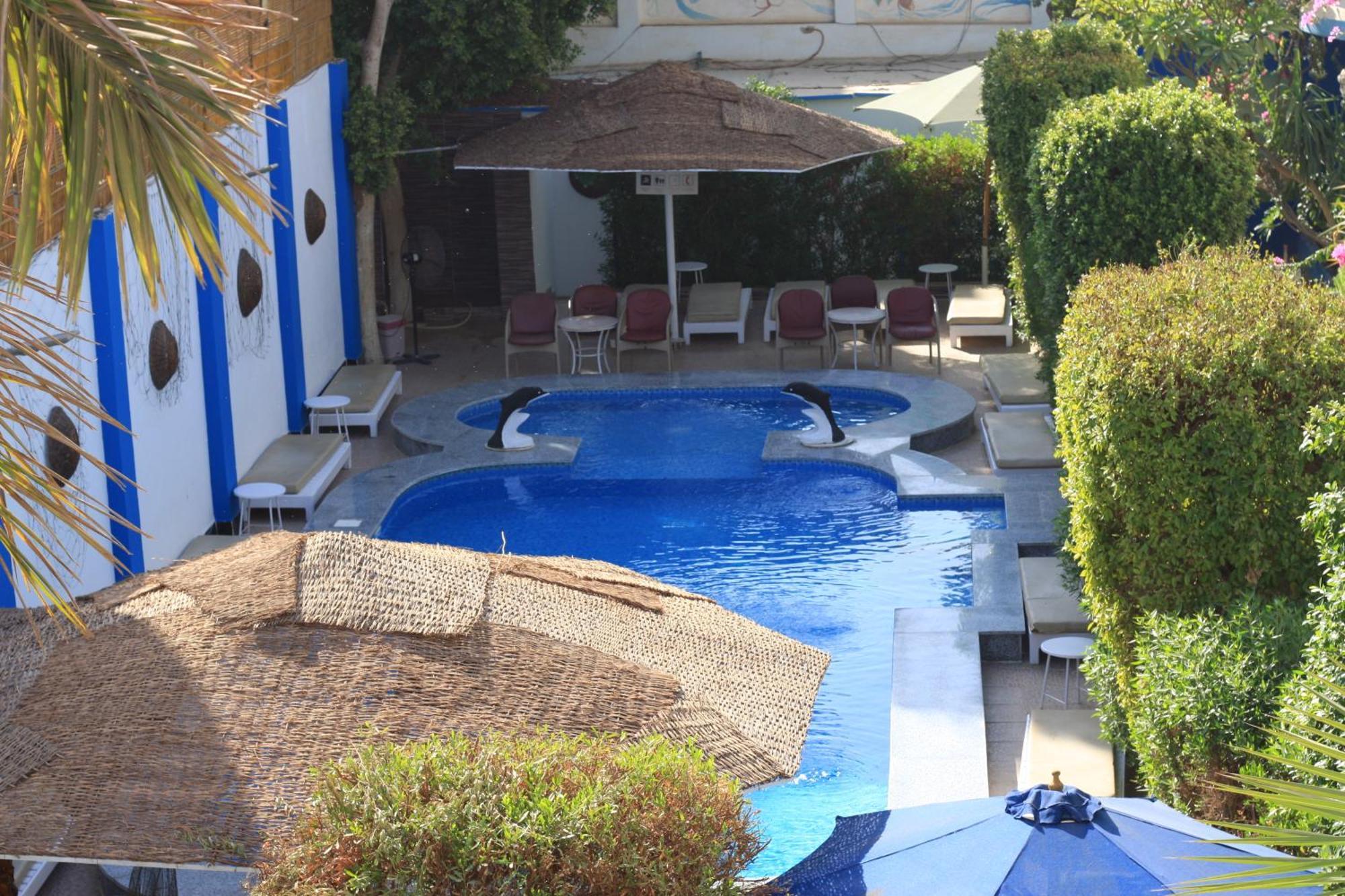 El Gezira Garden Hotel Luksor Dış mekan fotoğraf
