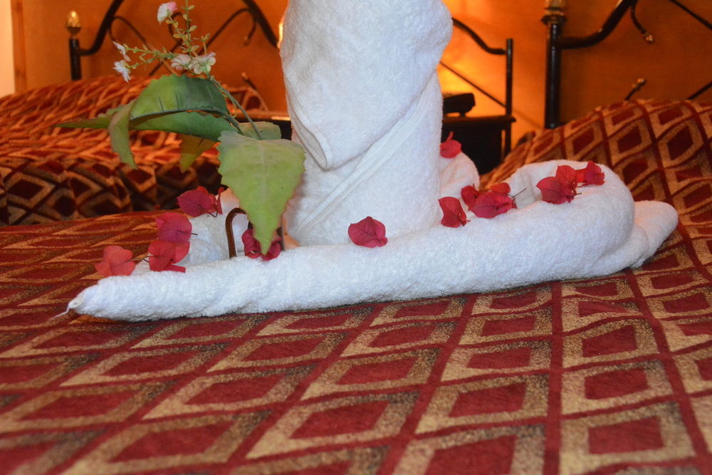El Gezira Garden Hotel Luksor Dış mekan fotoğraf
