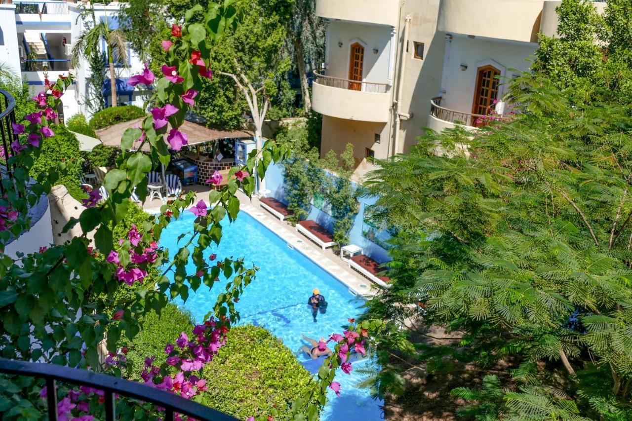 El Gezira Garden Hotel Luksor Dış mekan fotoğraf